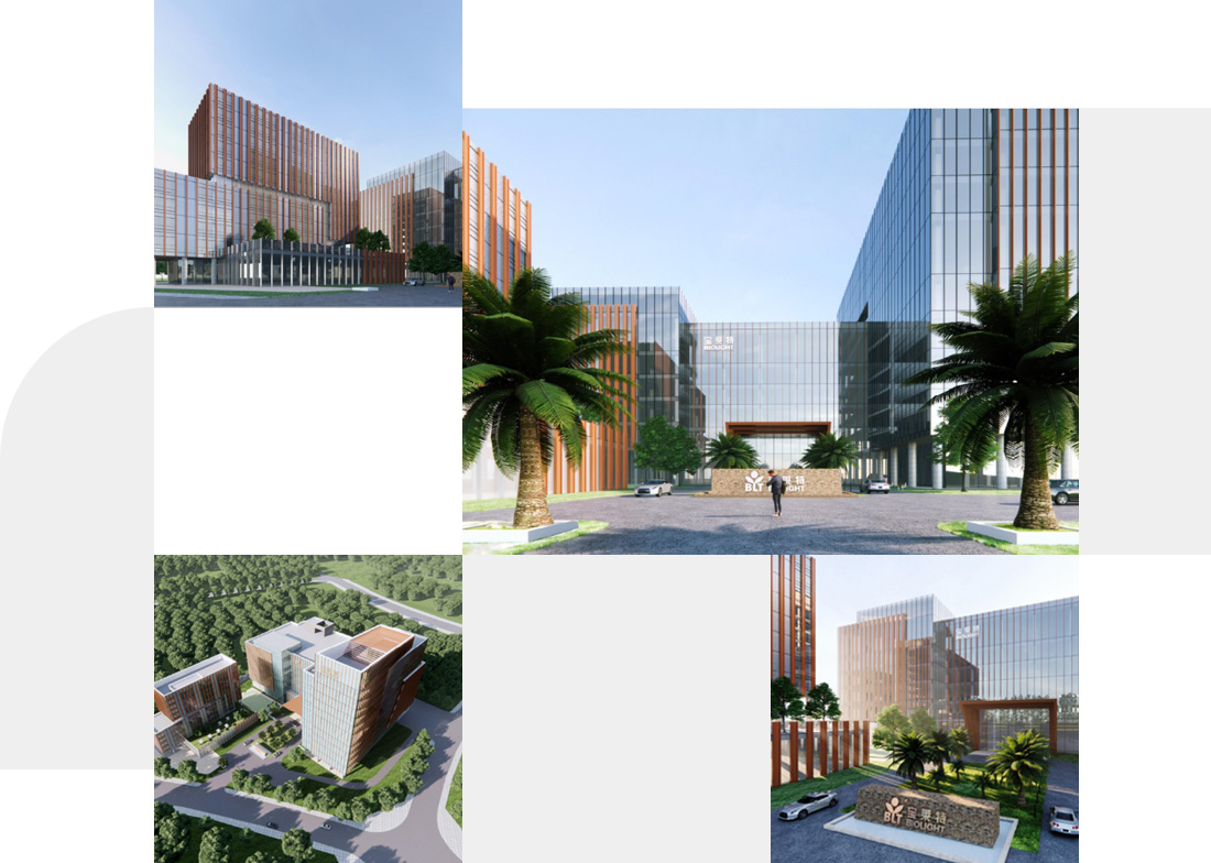 3377����Ȩ����������ƽ̨