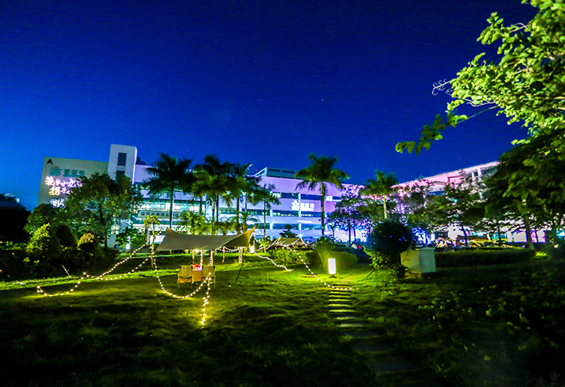 3377����Ȩ����������ƽ̨