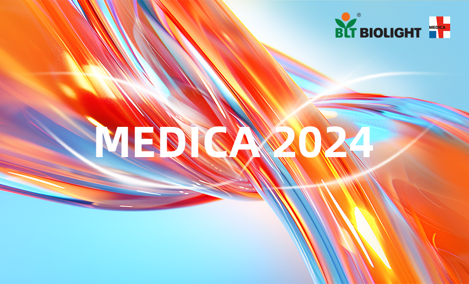 3377����Ȩ����������ƽ̨