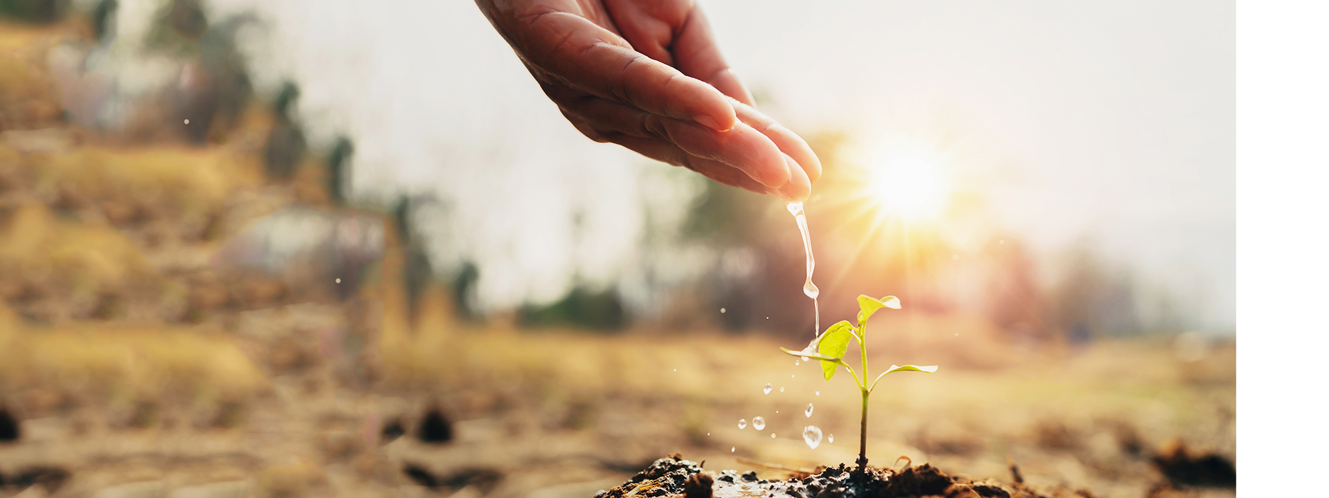 3377����Ȩ����������ƽ̨