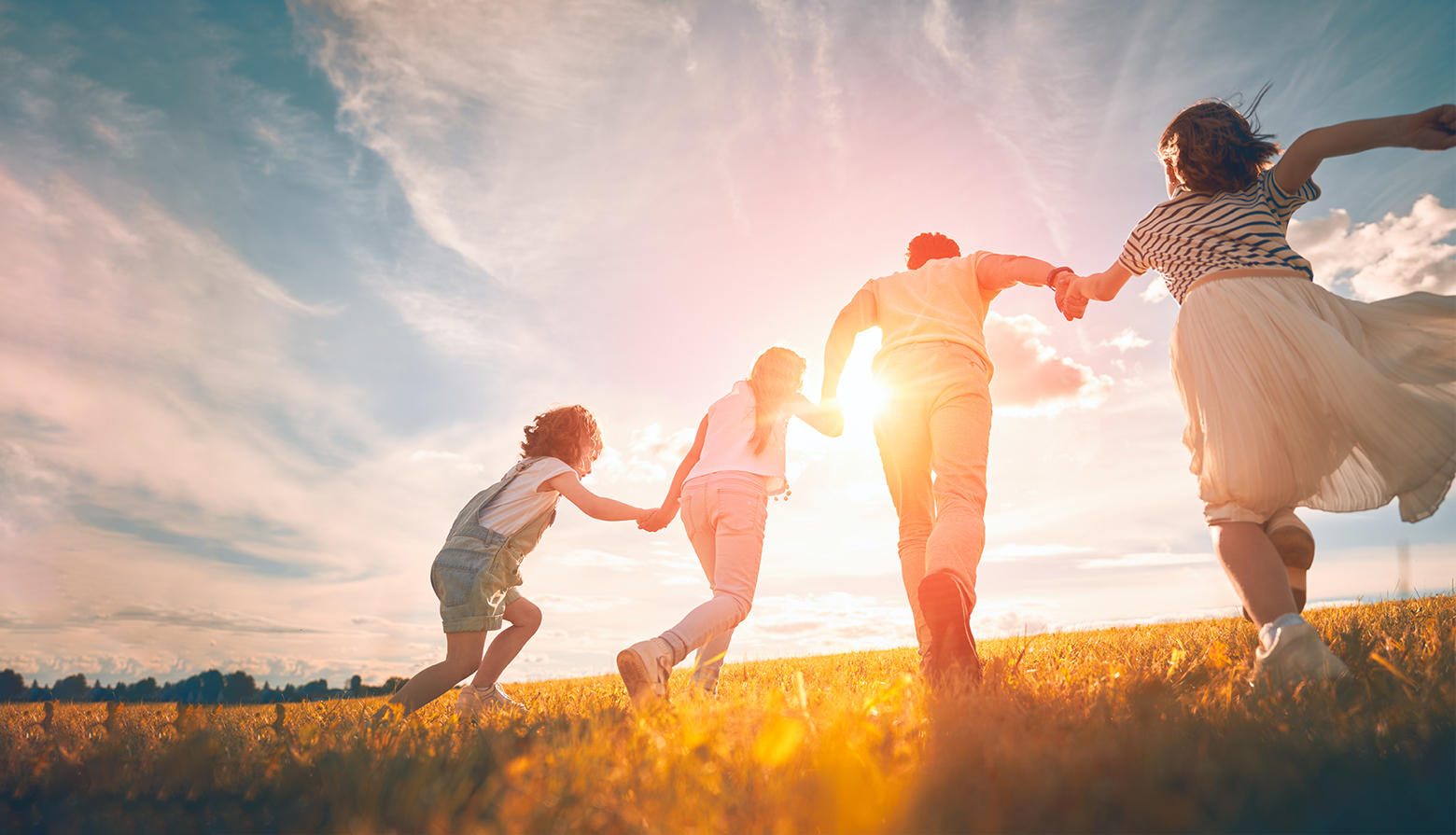 3377����Ȩ����������ƽ̨